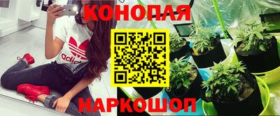 бутират Новодвинск