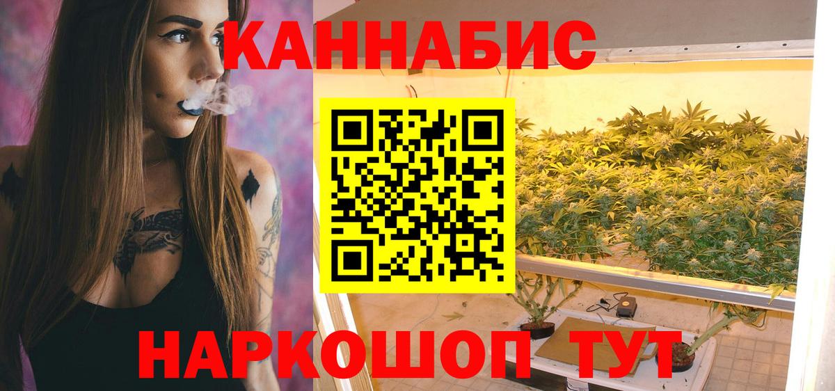 Марихуана сатива Холмск